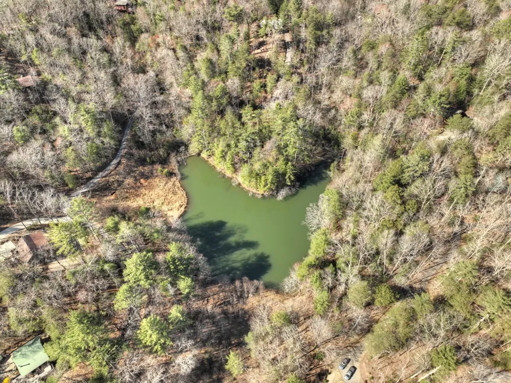1480 Hidden Lake Drive Cherry Log, GA 30522