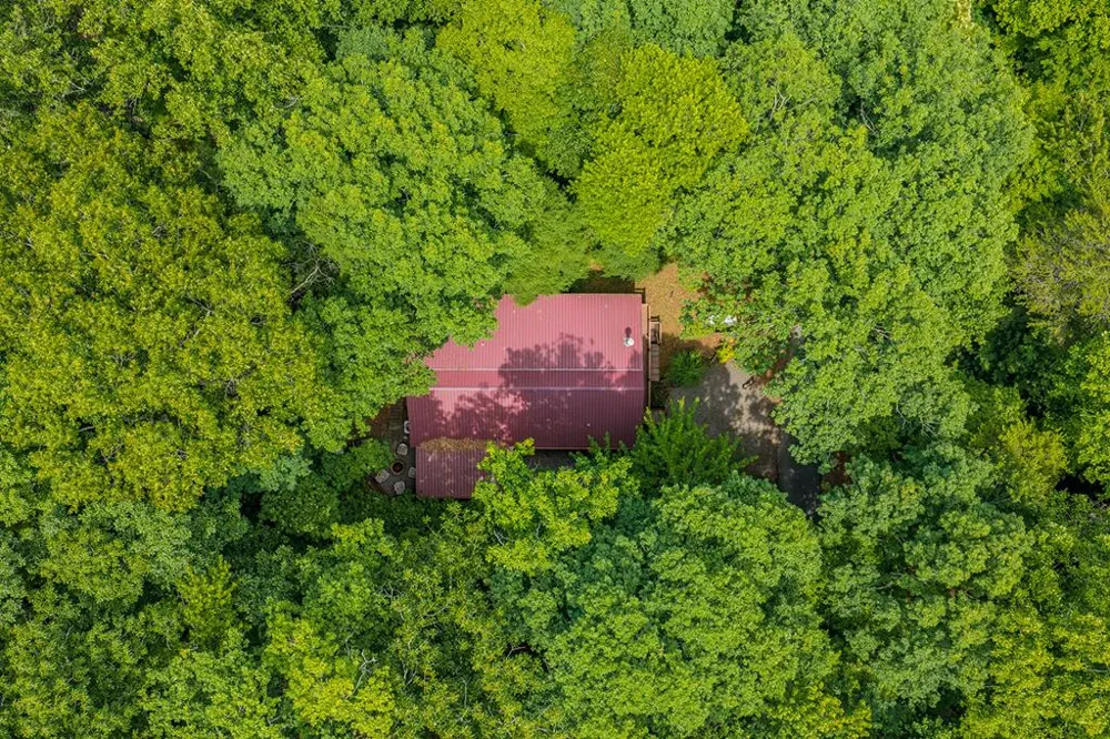 1480 Hidden Lake Drive Cherry Log, GA 30522