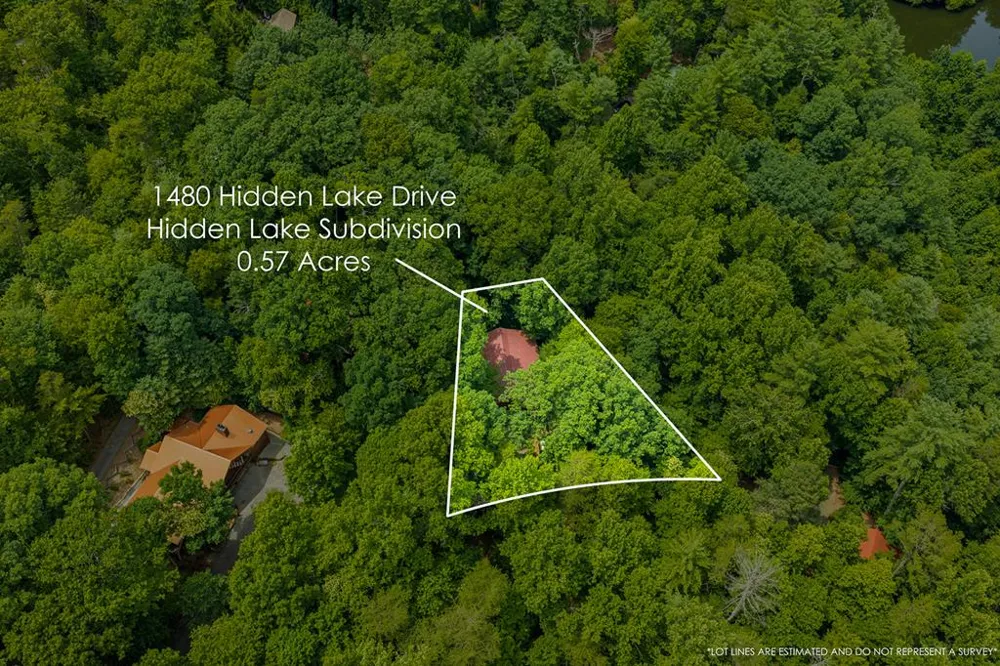 1480 Hidden Lake Drive Cherry Log, GA 30522