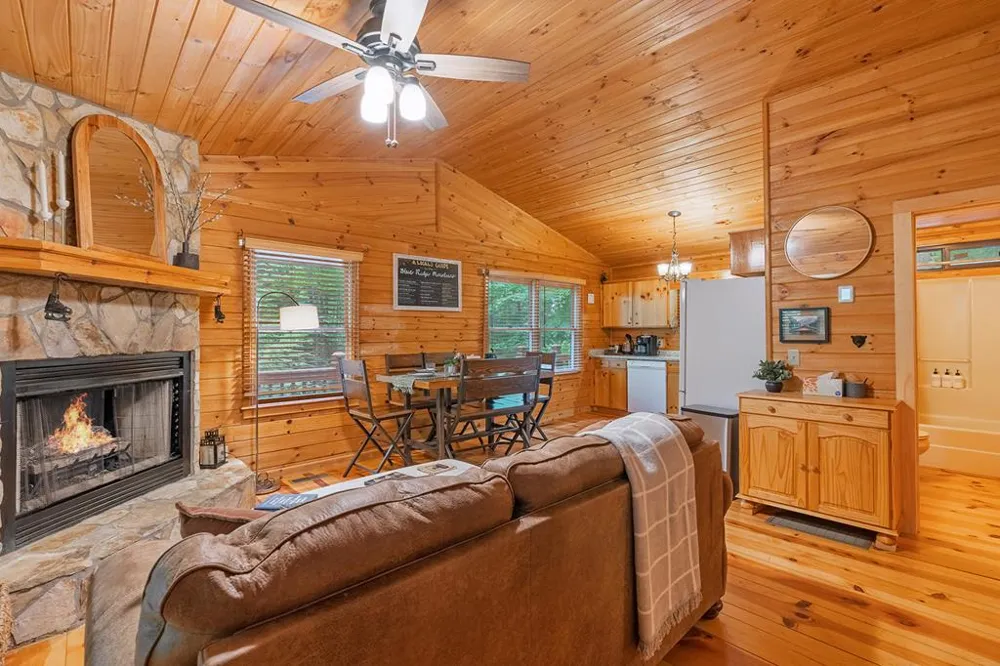 1480 Hidden Lake Drive Cherry Log, GA 30522