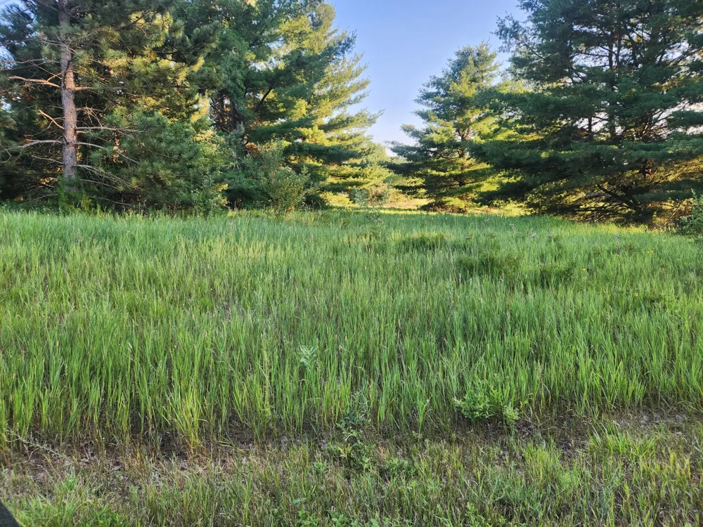 11535 Pierce Road #786 Canadian Lakes, MI 49346