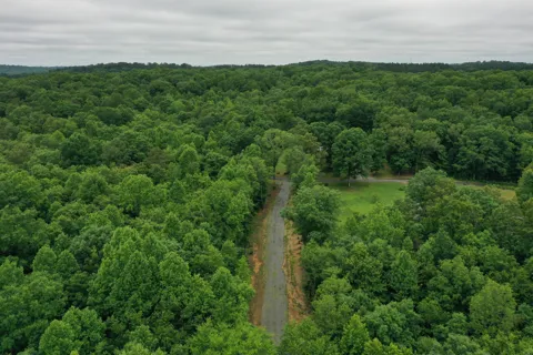 199 Co Rd 707