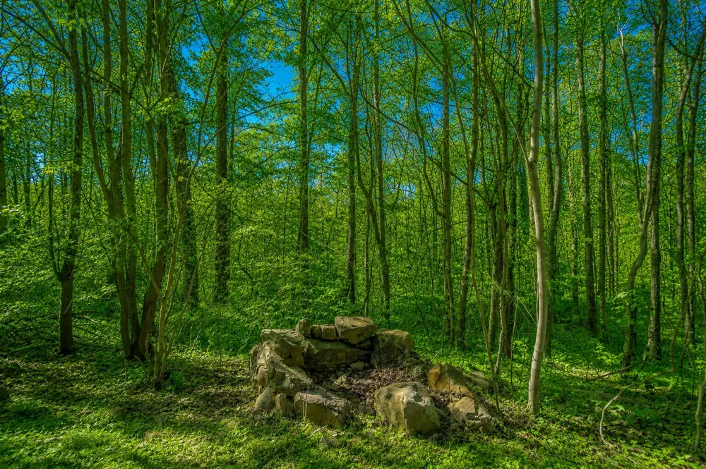 1111 Ditch Gap Road Whitwell, TN 37397