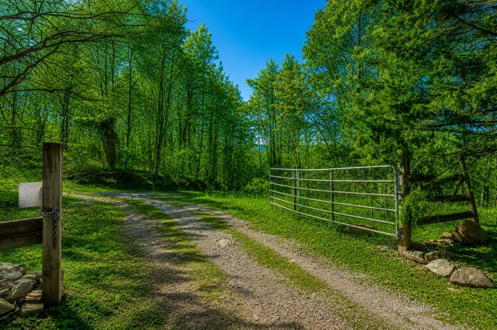 1111 Ditch Gap Road Whitwell, TN 37397