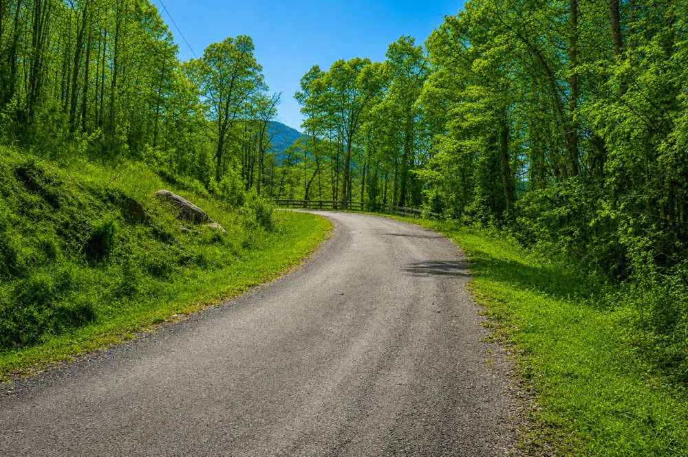 1111 Ditch Gap Road Whitwell, TN 37397