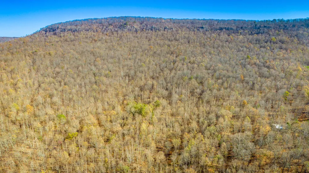 1111 Ditch Gap Road Whitwell, TN 37397