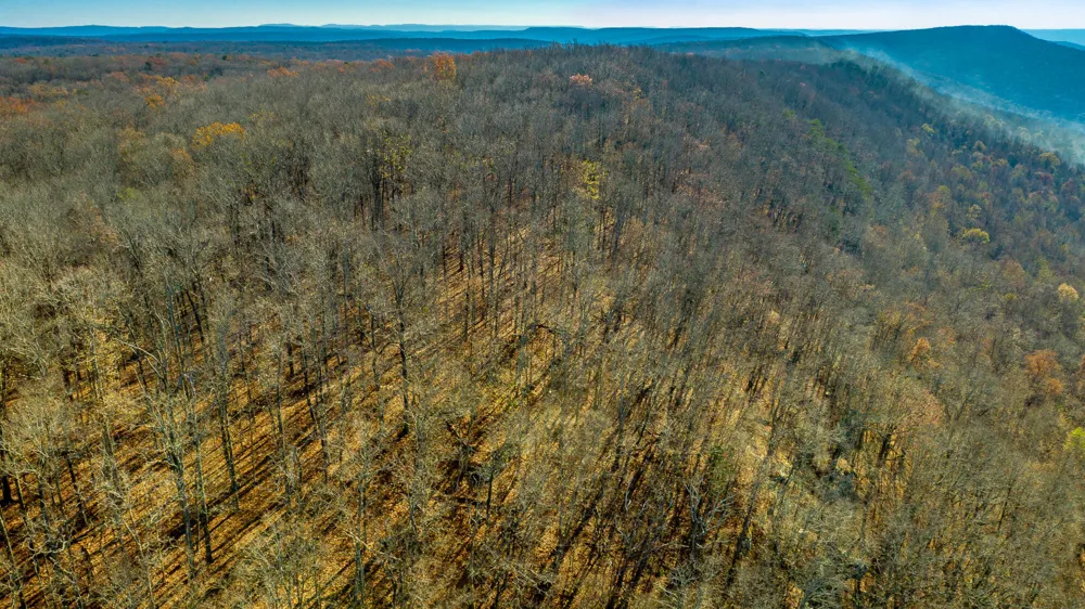 1111 Ditch Gap Road Whitwell, TN 37397