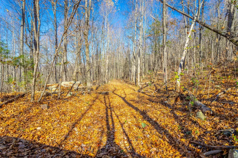 1111 Ditch Gap Road Whitwell, TN 37397