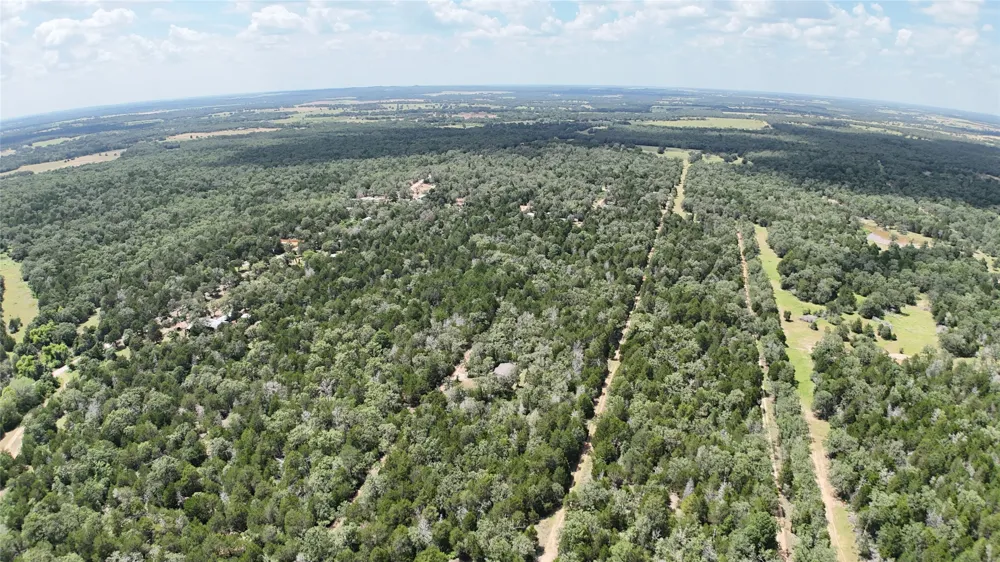 15 Pecan Street Paige, TX 78659