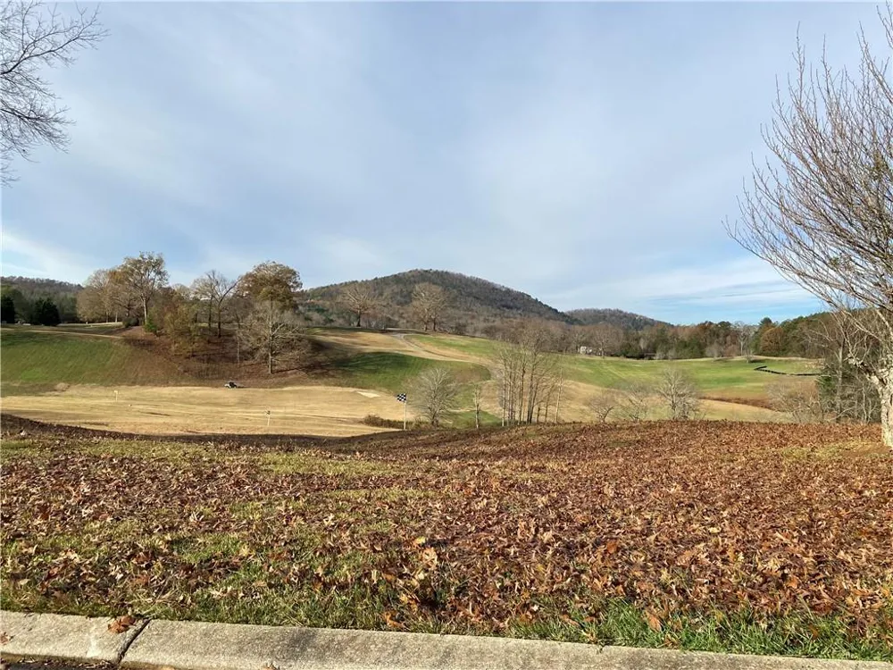0 Orchard Drive Clarkesville, GA 30523