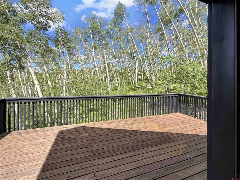 69 Peeler Lane Crested Butte, CO 81224