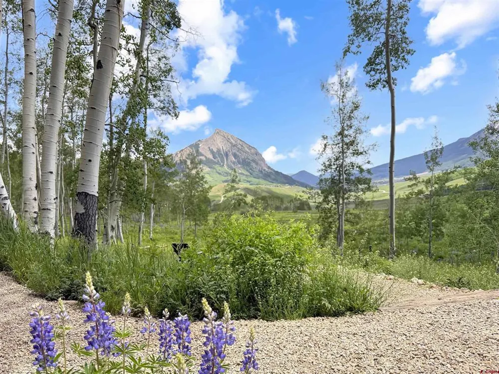 69 Peeler Lane Crested Butte, CO 81224