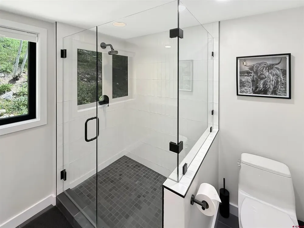 69 Peeler Lane Crested Butte, CO 81224
