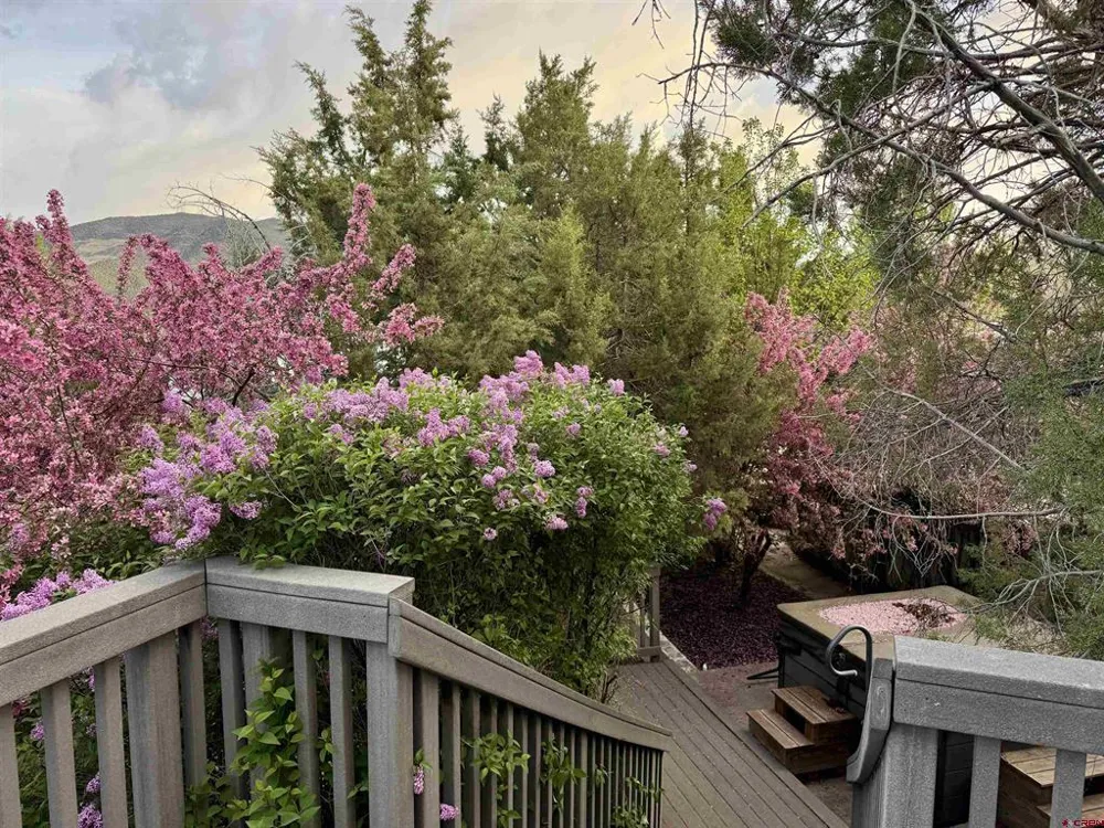 57 Cedar Drive Paonia, CO 81428