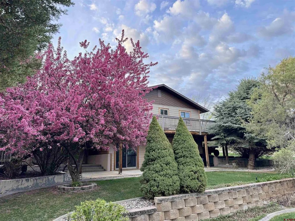 57 Cedar Drive Paonia, CO 81428