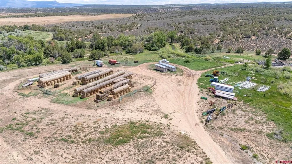 4369 Cattle Drive Crawford, CO 81415