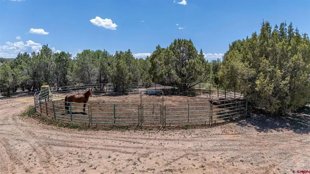 4369 Cattle Drive Crawford, CO 81415