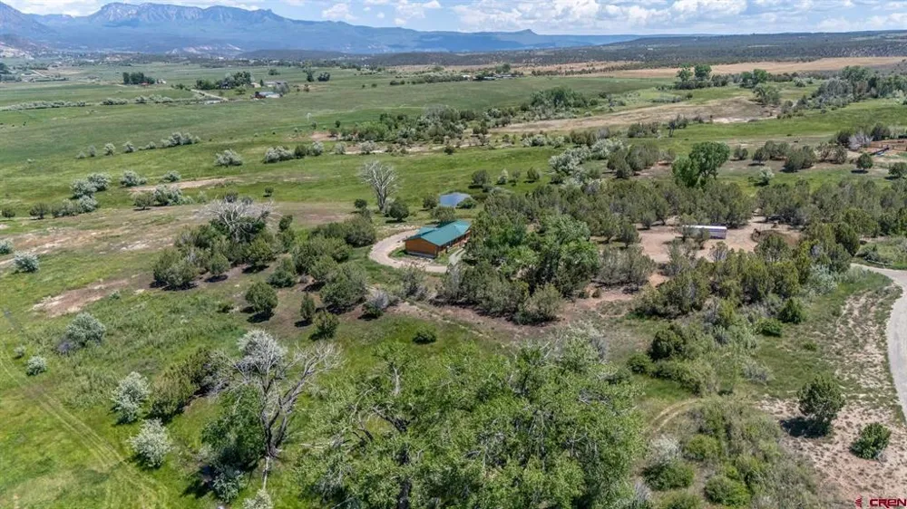 4369 Cattle Drive Crawford, CO 81415
