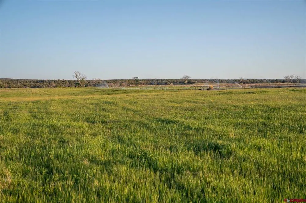 4369 Cattle Drive Crawford, CO 81415