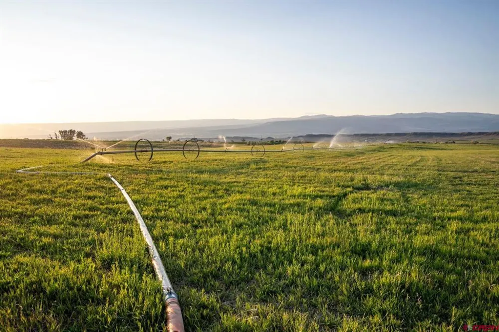 4369 Cattle Drive Crawford, CO 81415