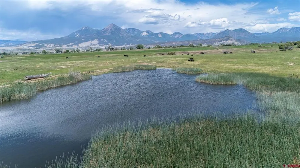 4369 Cattle Drive Crawford, CO 81415