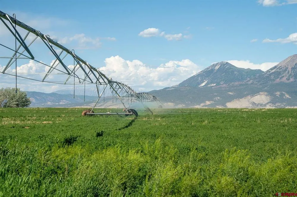 4369 Cattle Drive Crawford, CO 81415