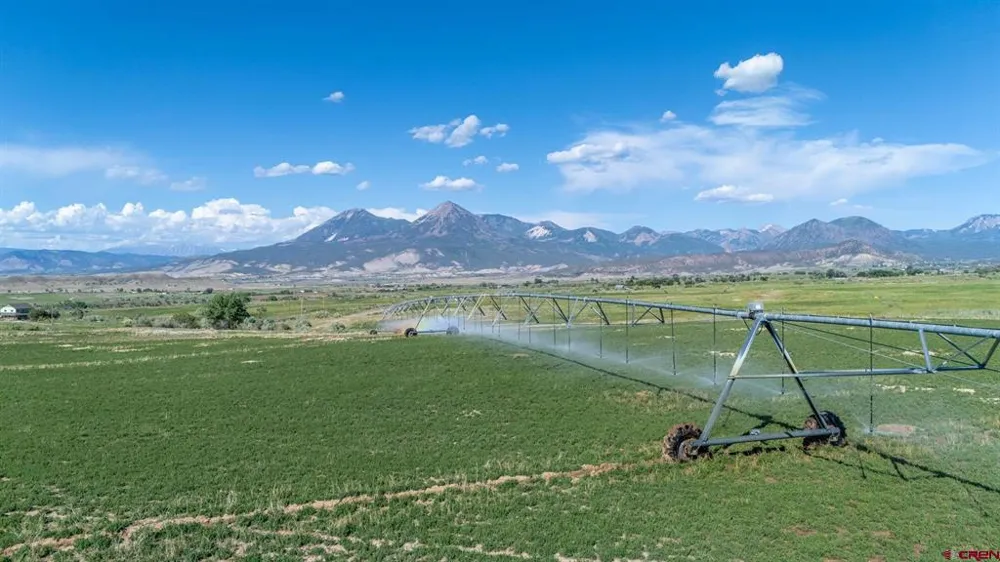 4369 Cattle Drive Crawford, CO 81415