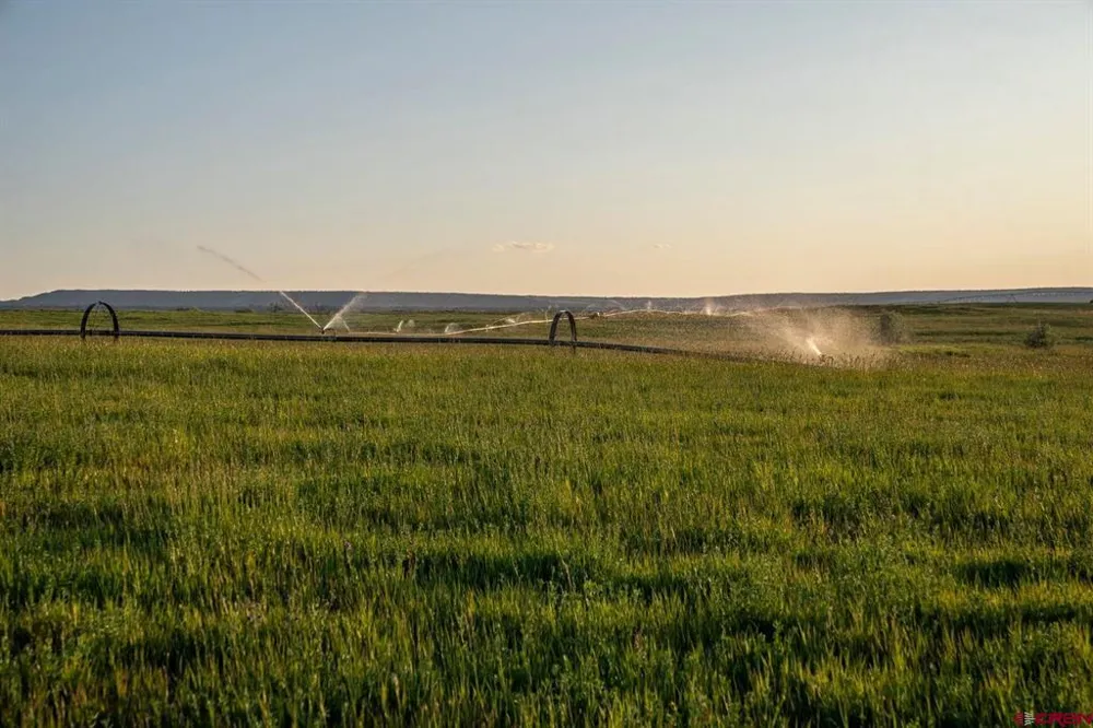 4369 Cattle Drive Crawford, CO 81415