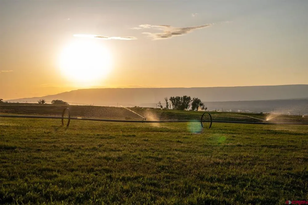 4369 Cattle Drive Crawford, CO 81415