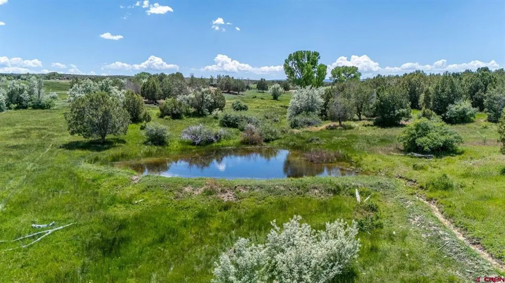 4369 Cattle Drive Crawford, CO 81415
