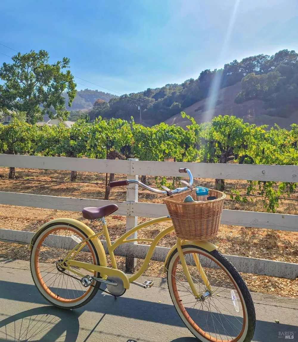 46 Lande Way Yountville, CA 94599