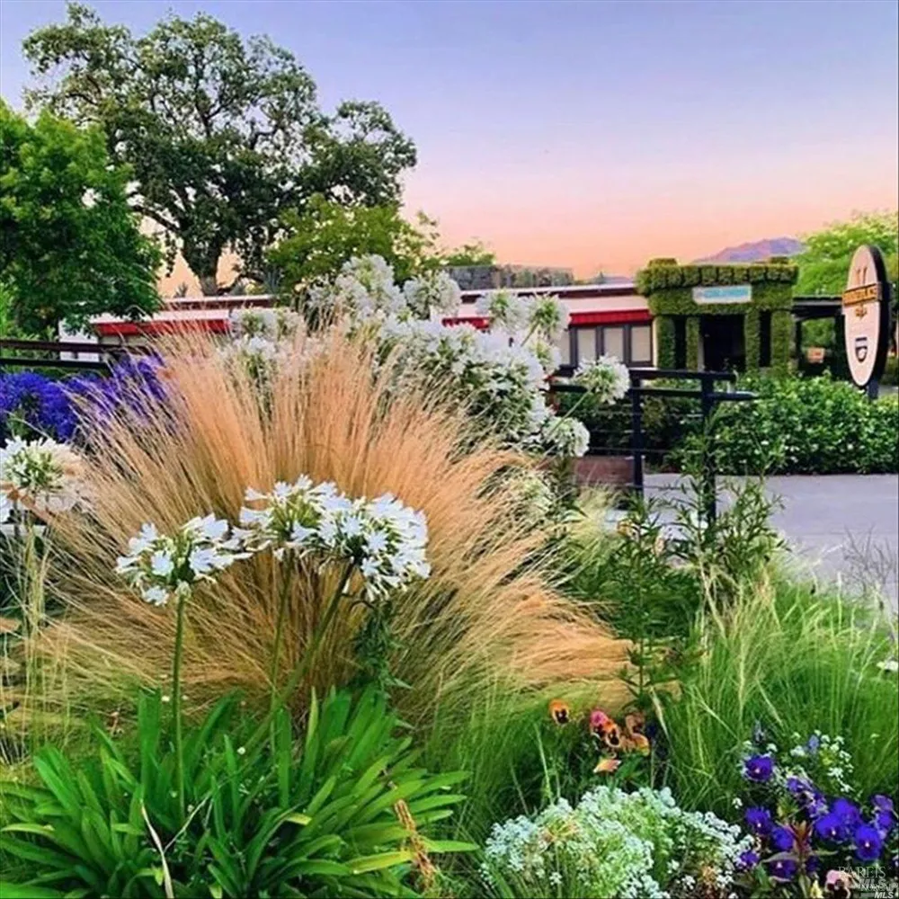 46 Lande Way Yountville, CA 94599