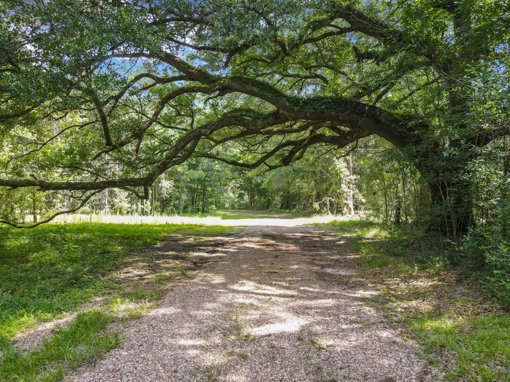 2020 Fm 770 Road Kountze, TX 77625