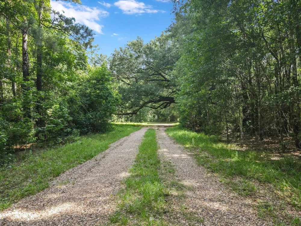 2020 Fm 770 Road Kountze, TX 77625