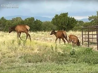 1035 Newton Road Pueblo, CO 81005