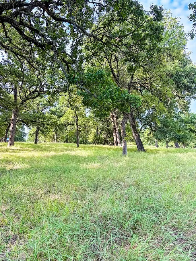 14216 Clark Drive Streetman, TX 75859
