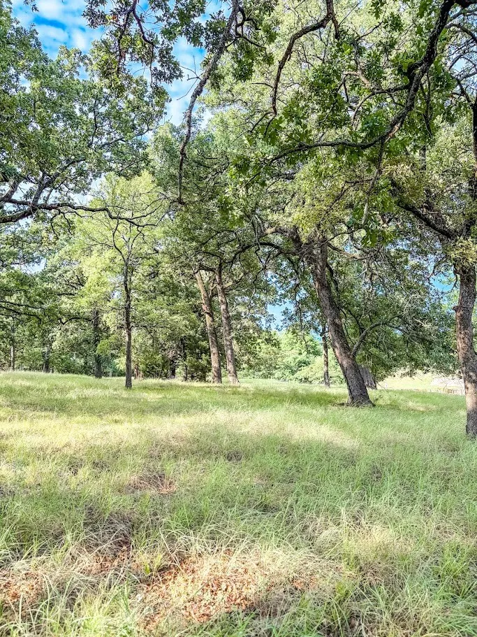 14216 Clark Drive Streetman, TX 75859