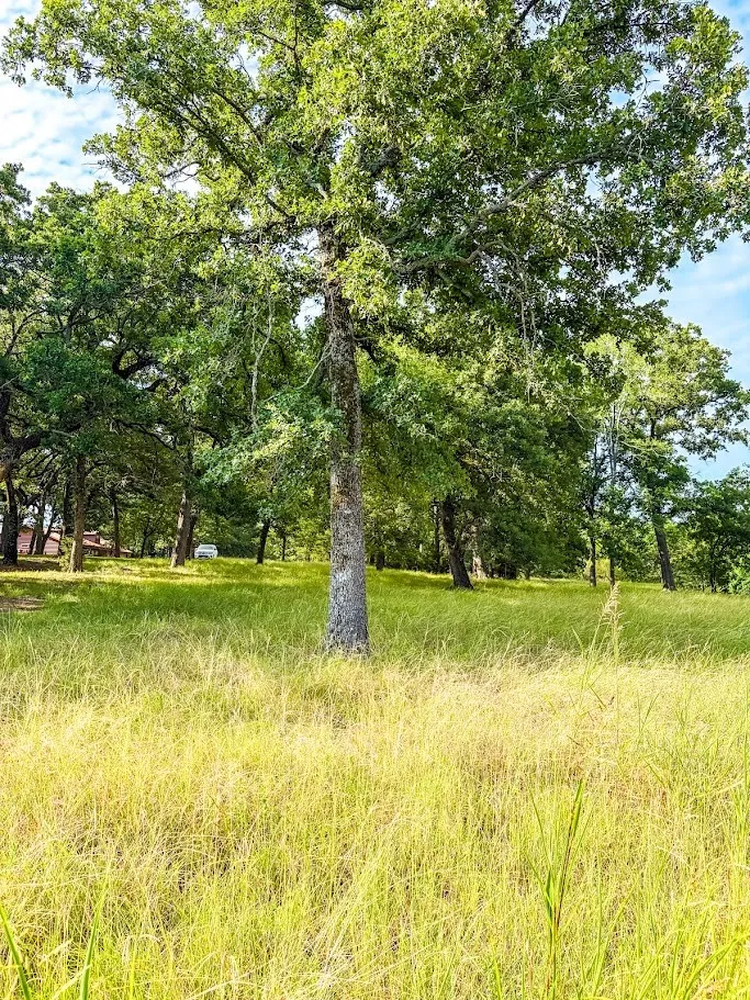 14216 Clark Drive Streetman, TX 75859