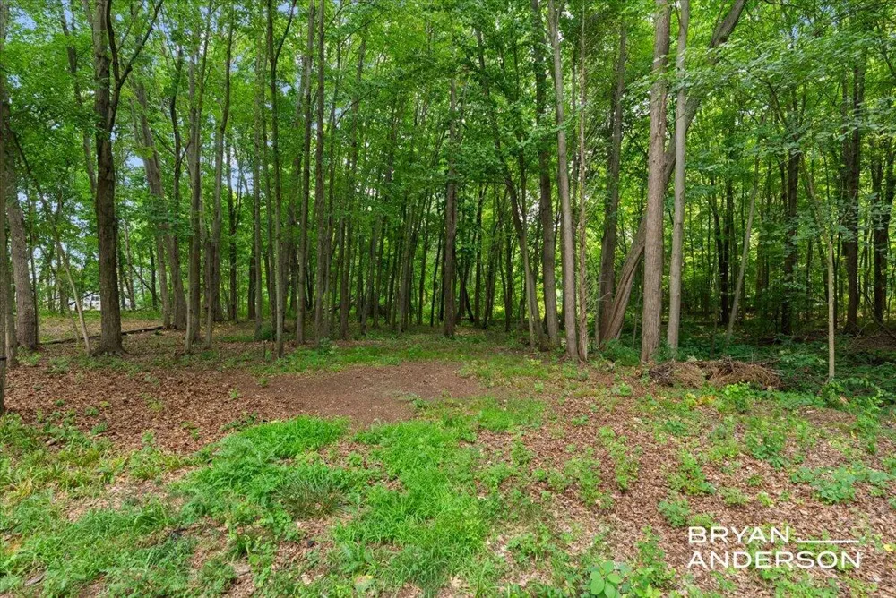 3324 Whitburn Court SE Ada, MI 49301