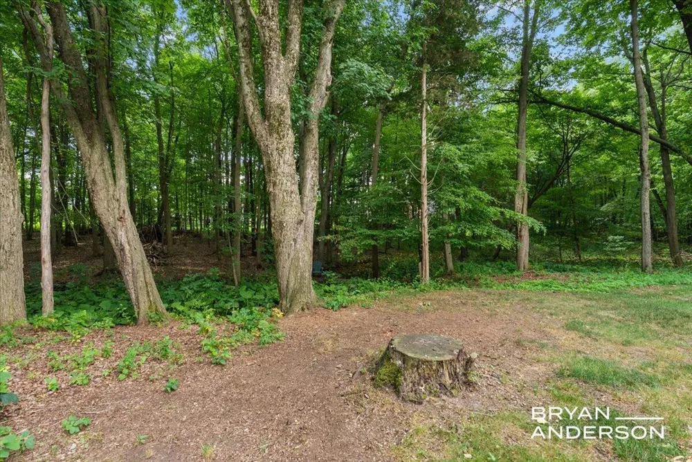 3324 Whitburn Court SE Ada, MI 49301