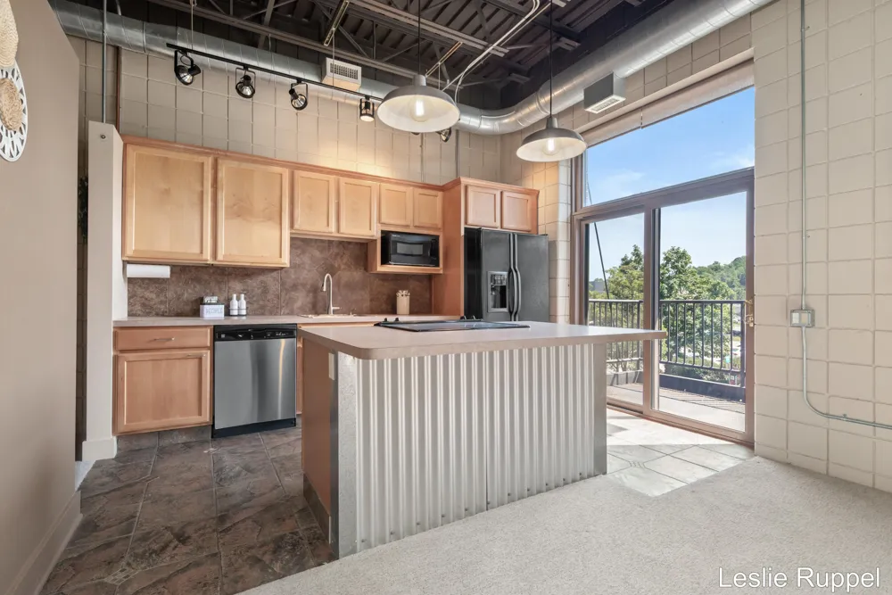 801 Monroe Avenue NW ##206 Grand Rapids, MI 49503