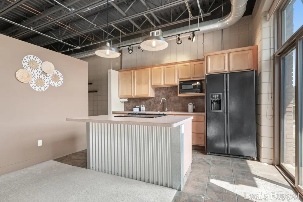 801 Monroe Avenue NW ##206 Grand Rapids, MI 49503