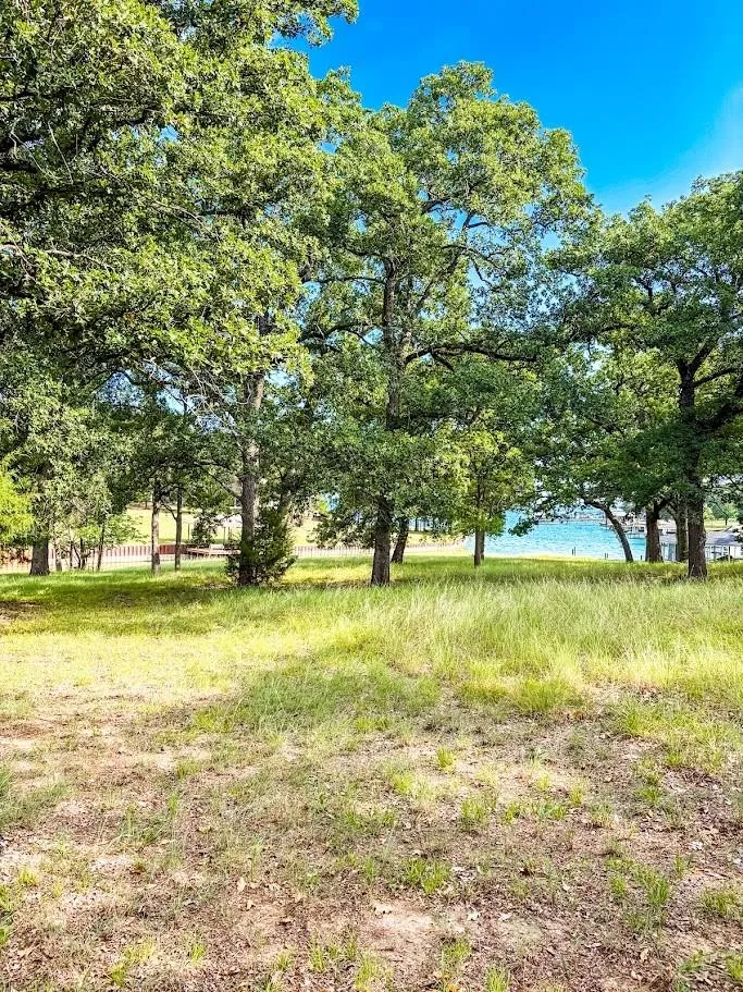 14216 Clark Drive Streetman, TX 75859