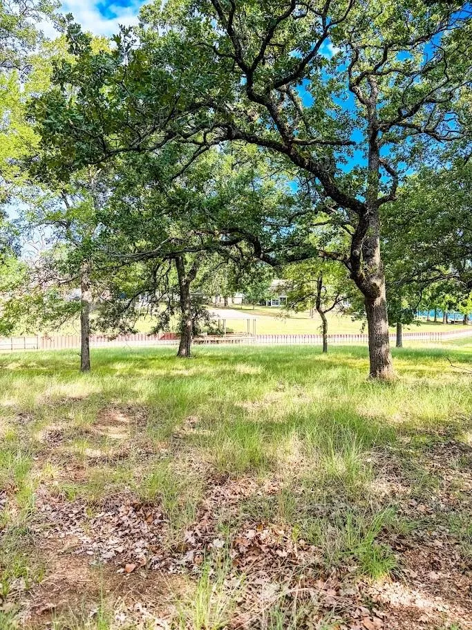 14216 Clark Drive Streetman, TX 75859