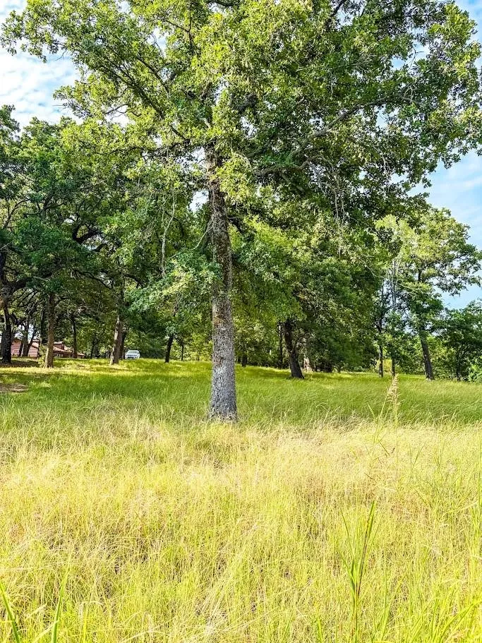 14216 Clark Drive Streetman, TX 75859