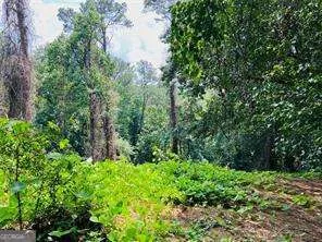 LOT 6 N Riverside CIR Sandy Springs, GA 30328