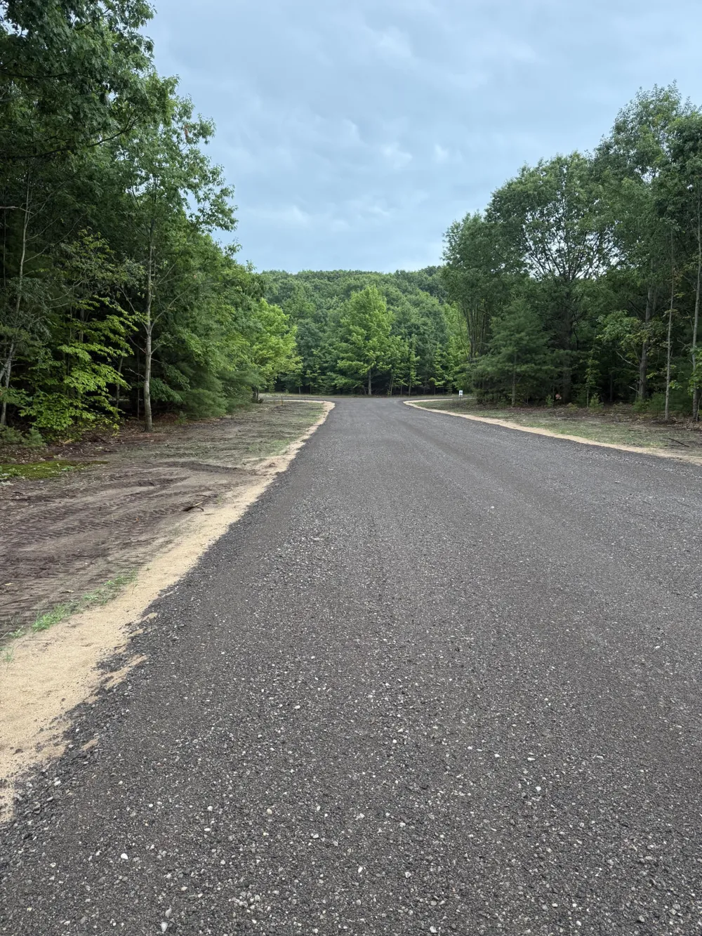 Sadie Ln #Parcel ''E'' Bear Lake, MI 49614