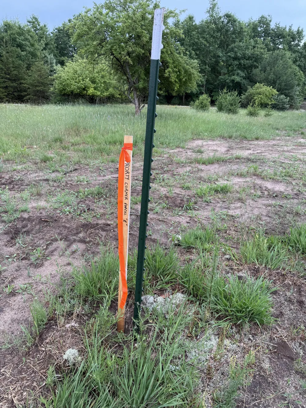 Sadie Ln #Parcel ''E'' Bear Lake, MI 49614
