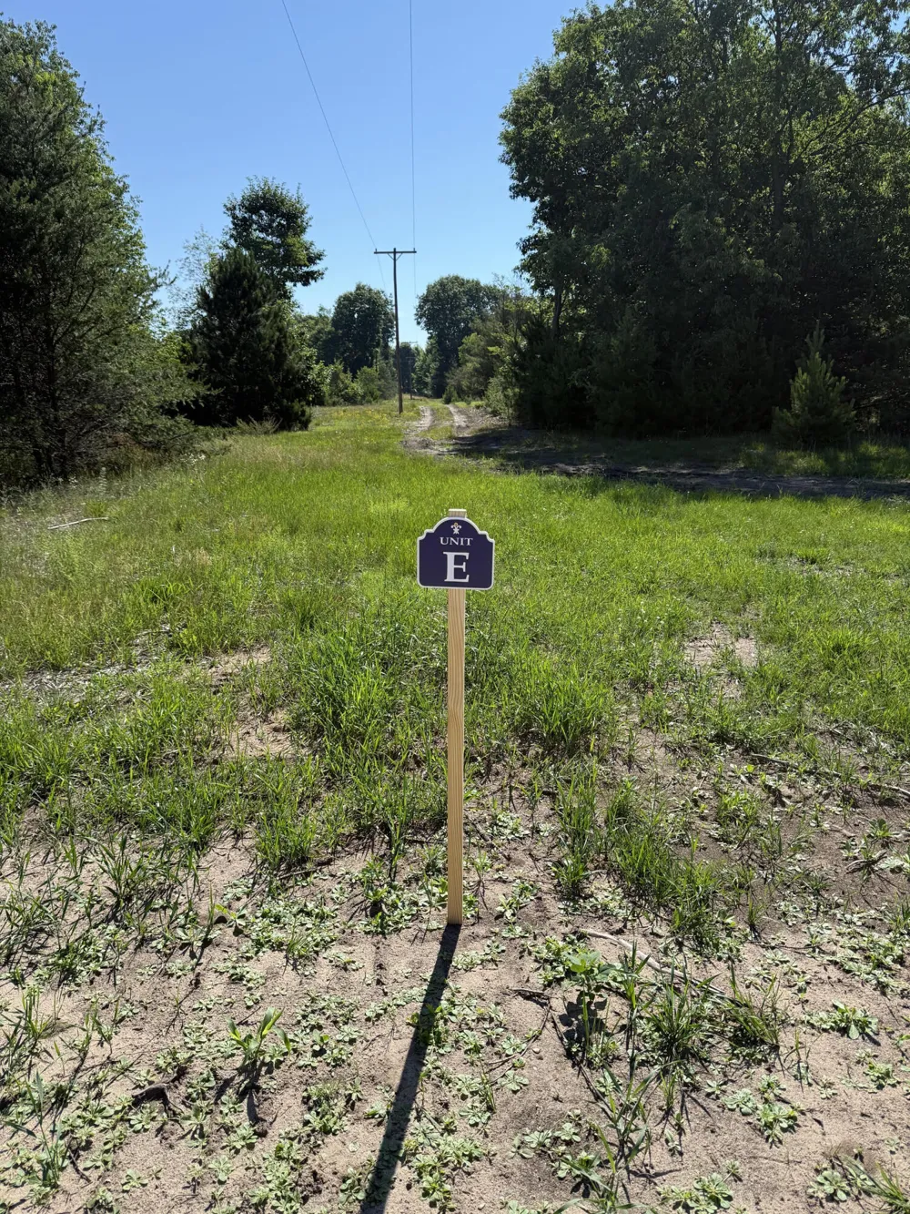 Sadie Ln #Parcel ''E'' Bear Lake, MI 49614