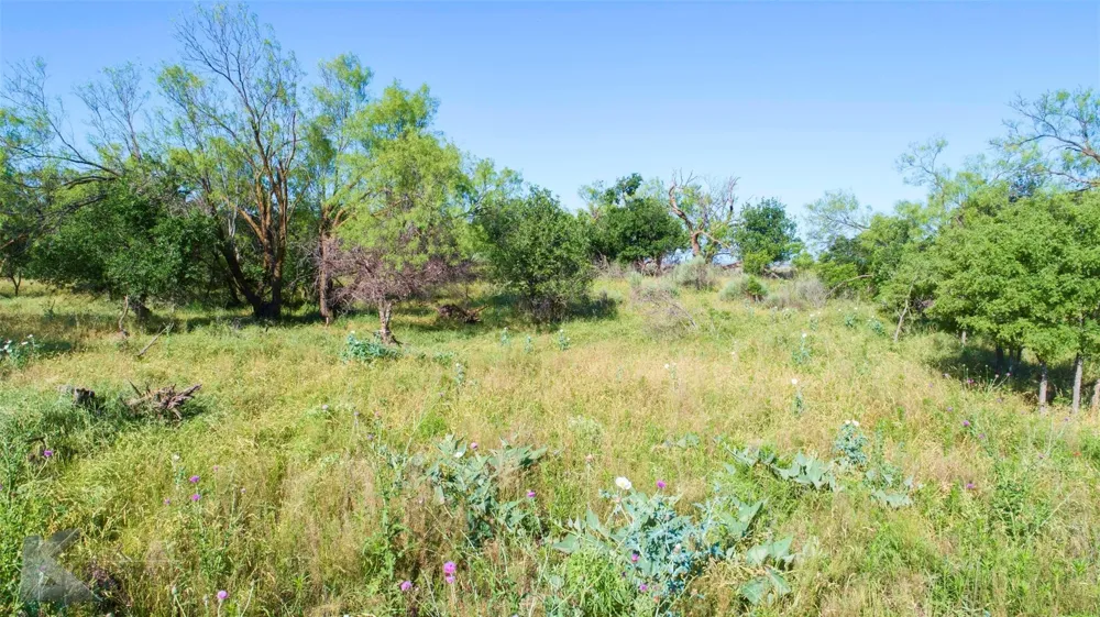 9533 FM 617 Rochester, TX 79544